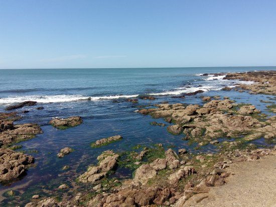 Plazoneta Grã Bretanha